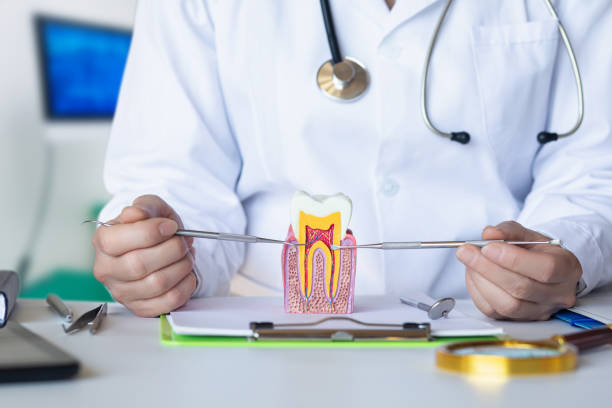 Best Emergency Root Canal Treatment in Somers Point, NJ